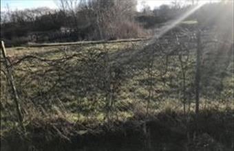 Eladó Tápiószelei lakóövezeti telek hirdetés (67834382)