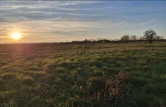 Eladó Pécsudvardi lakóövezeti telek hirdetés (72377323)