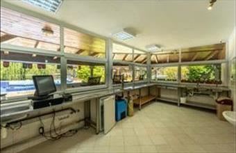 Eladó Pusztaszentlászlói egyéb vendéglátó ingatlan hirdetés (71255944)