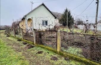 Eladó Napkori családi ház hirdetés (99972662)