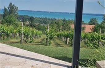 Eladó Csopaki családi ház hirdetés (54235738)