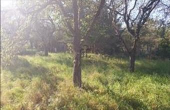 Eladó Szombathelyi üdülőövezeti telek hirdetés (65374593)