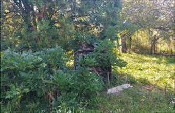 Eladó Szombathelyi üdülőövezeti telek hirdetés (65374593)