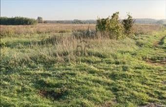 Eladó Budapest XVII. kerületi külterületi telek hirdetés (43973659)