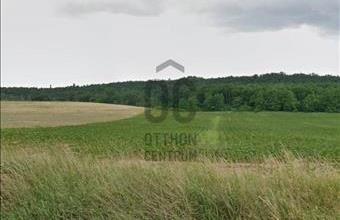 Eladó Isaszegi külterületi telek hirdetés (45496442)