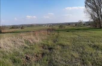 Eladó Budapest XVII. kerületi egyéb mezőgazdasági ingatlan hirdetés (71939539)