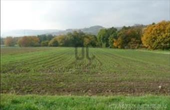 Eladó Vecsési egyéb mezőgazdasági ingatlan hirdetés (26197897)