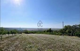 Eladó Tabi külterületi telek hirdetés (11775336)