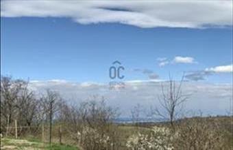 Eladó Balatonendrédi lakóövezeti telek hirdetés (41186454)