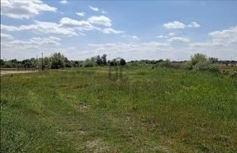 Eladó Algyői külterületi telek hirdetés (51936244)