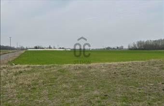 Eladó Röszkei külterületi telek hirdetés (31664472)