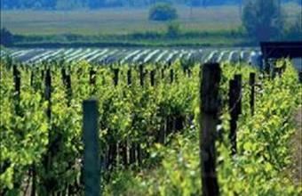 Eladó Bajai egyéb ipari ingatlan hirdetés (34792375)