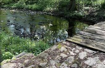 Eladó Szentendrei lakóövezeti telek hirdetés (89433334)