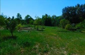 Eladó Váckisújfalui lakóövezeti telek hirdetés (23752418)