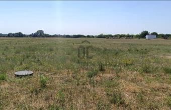 Eladó Gyömrői lakóövezeti telek hirdetés (98693383)