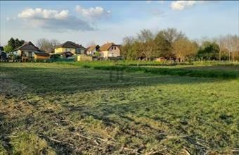 Eladó Gyömrői lakóövezeti telek hirdetés (94272979)