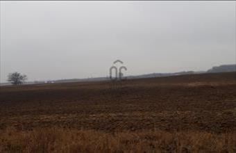 Eladó Üllői egyéb mezőgazdasági ingatlan hirdetés (39296972)