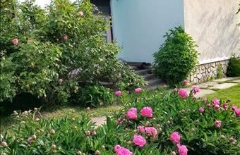 Eladó Marcaltői családi ház hirdetés (79875955)