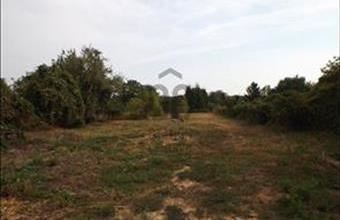 Eladó Pápai egyéb mezőgazdasági ingatlan hirdetés (11436398)