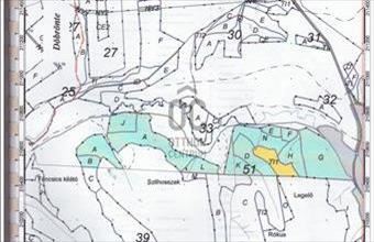 Eladó Bakonyjákói egyéb mezőgazdasági ingatlan hirdetés (39868141)