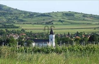 Eladó Bodrogkeresztúri lakóövezeti telek hirdetés (73758663)