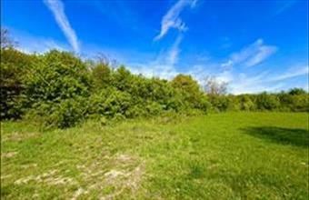 Eladó Szentendrei egyéb mezőgazdasági ingatlan hirdetés (92552774)