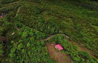 Eladó Szentendrei egyéb mezőgazdasági ingatlan hirdetés (53466886)