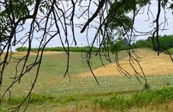 Eladó Nagykeresztúri egyéb mezőgazdasági ingatlan hirdetés (39327724)