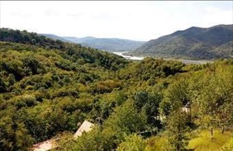 Eladó Visegrádi üdülőövezeti telek hirdetés (79288249)