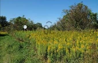 Eladó Budapest XV. kerületi egyéb mezőgazdasági ingatlan hirdetés (24483721)