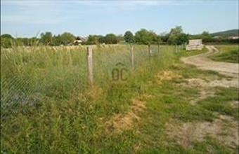 Eladó Zánkai lakóövezeti telek hirdetés (75216453)