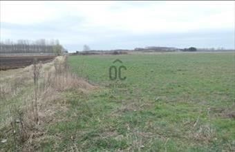 Eladó Hajdúsámsoni külterületi telek hirdetés (67178391)