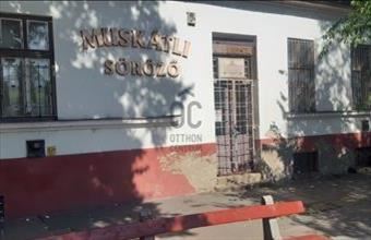 Eladó Debreceni étterem, vendéglő hirdetés (74294593)