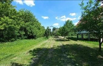 Eladó Tiszacsegei üdülőövezeti telek hirdetés (23427986)