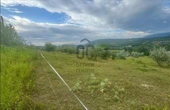 Eladó Piliscsabai külterületi telek hirdetés (94572372)