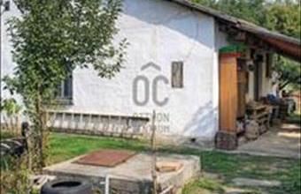 Eladó Nagykőrösi tanya hirdetés (98651224)