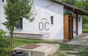 Eladó Nagykőrösi tanya hirdetés (98651224)