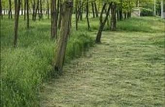 Eladó Nagykőrösi egyéb mezőgazdasági ingatlan hirdetés (34577335)