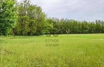 Eladó Nagykőrösi egyéb mezőgazdasági ingatlan hirdetés (34577335)