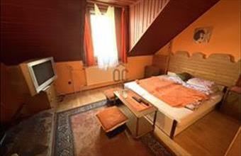 Kiadó Hajdúszoboszlói hotel, szálloda, panzió hirdetés (13931514)