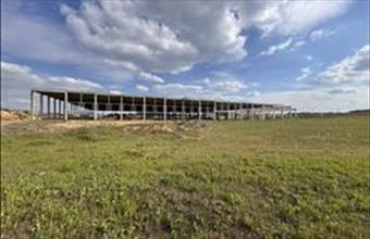 Eladó Maglódi külterületi telek hirdetés (73579473)