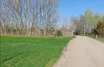 Eladó Dömsödi üdülőövezeti telek hirdetés (81787242)