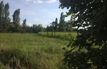 Eladó Tárnoki külterületi telek hirdetés (73319475)