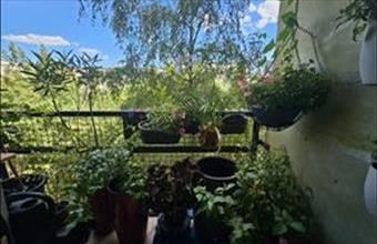 Eladó Budapest XIII. kerületi panel lakás hirdetés (75443739)