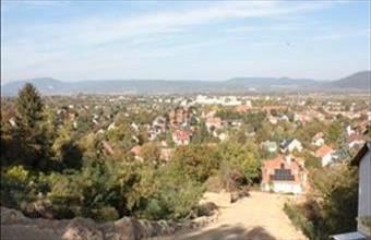 Eladó Solymári lakóövezeti telek hirdetés (27799236)