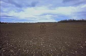 Eladó Polgári külterületi telek hirdetés (89434645)