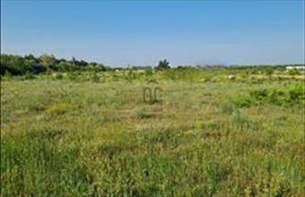 Eladó Inárcsi külterületi telek hirdetés (66493864)