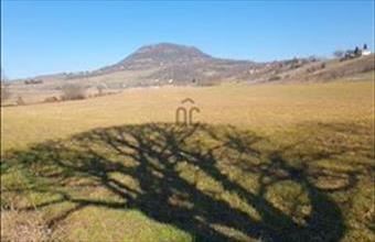 Eladó Káptalantóti egyéb mezőgazdasági ingatlan hirdetés (43131125)