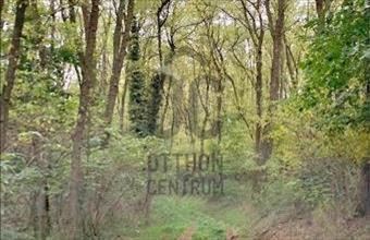 Eladó Bocföldei egyéb mezőgazdasági ingatlan hirdetés (79249375)