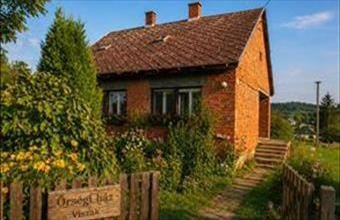 Eladó Viszáki családi ház hirdetés (35399437)